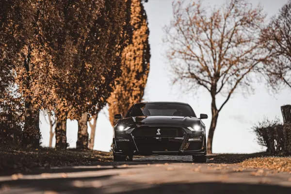 SuperNopea Casino Android/iOS rakendus